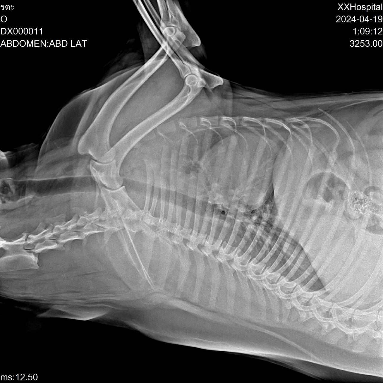 line_oa_chat_240705_142506