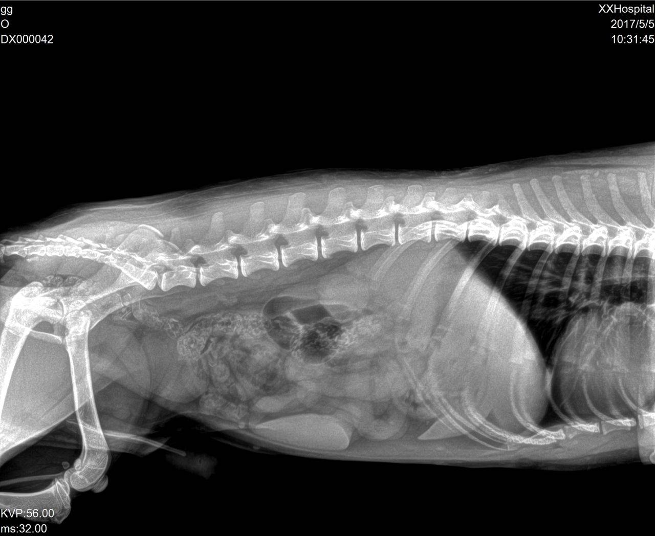 line_oa_chat_240705_142510