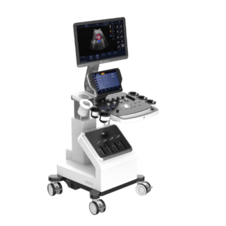 Lynus 10
