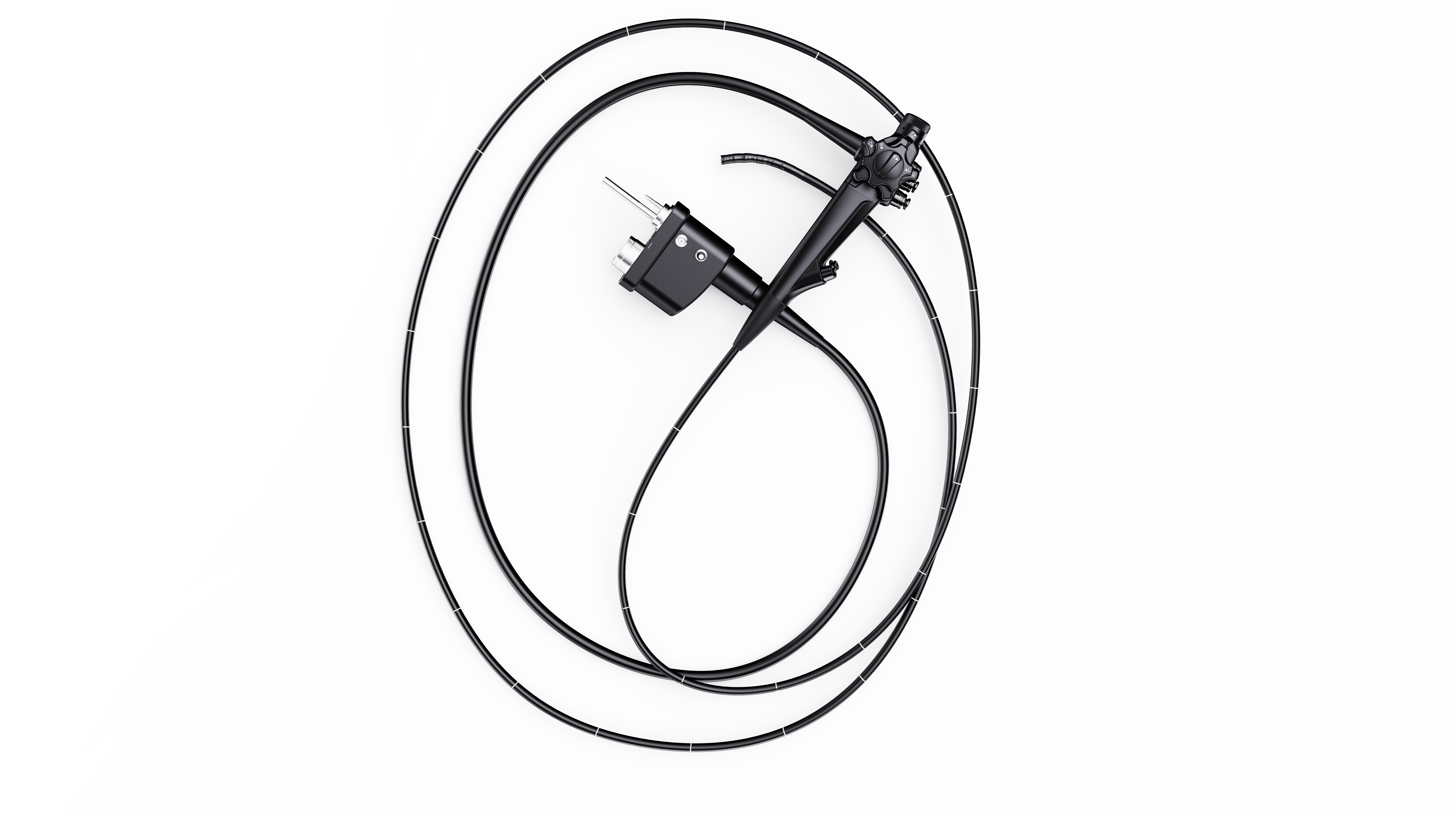 【肠】动物镜3.3米